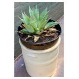 Large Vintage Salt Glazed Crock 25