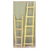 Southwestern Pueblo Ladders