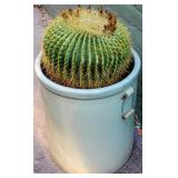 Large Vintage Medalta Potteries Salt Glazed Crock