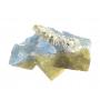 12/9 Garrett Rocks Minerals Fossils & Lepidoptery Specimens