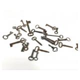 24 Antique Skeleton Keys
