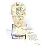 Phrenology Head Model by LN Fowler w Info