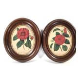Vtg Framed Camellia Japonica Botanical Prints