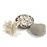 Coral Pieces