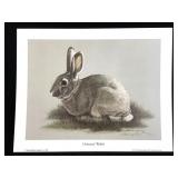 Harold Rigsby Cottontail Rabbit Lmt Ed Signed Repr