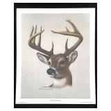 Harold Rigsby Whitetail Buck Ltd Ed Signed Lg Repr