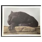 Harold Rigsby Black Leopard Ltd Ed Signed Rep