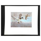 83" OH Duck Stamp Print Lmt Ed Signed Harry Antis