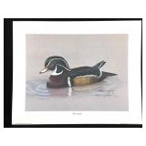 Harold Rigsby Wood Duck Lmt Ed Signed Repr 16 x 20