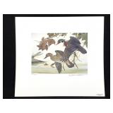 1st OH Duck Stamp Print Signed Rithven & MUH