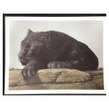 Harold Rigsby Black Leopard Ltd Ed Signed Rep