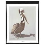 Harold Rigsby Pelican Ltd Ed Signed Repro 16 x 13