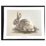 Harold Rigsby Cottontail Rabbit Lmt Ed Signed Repr