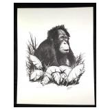 Wm Schloss Chimp Lmt Ed signed Repro Print