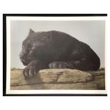 Harold Rigsby Black Leopard Ltd Ed Signed Repro