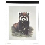 Harold Rigsby Red Panda Lmt Ed Signed Repr Print