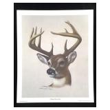Harold Rigsby Whitetail Buck Ltd Ed Signed Lg Repr