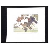 1st OH Duck Stamp Print Signed Rithven & MUH