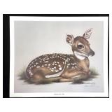 Harold Rigsby Deer Fawn Lmt Ed Signed Reprod