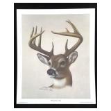 Harold Rigsby Whitetail Buck Ltd Ed Signed Lg Repr