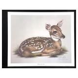 Harold Rigsby Deer Fawn Lmt Ed Signed Reprod