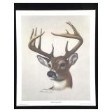 Harold Rigsby Whitetail Buck Ltd Ed Signed Lg Repr