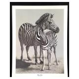 Harold Rigsby Plains Zebra Ltd Ed Signed Lg Repr