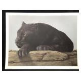 Harold Rigsby Black Leopard Ltd Ed Signed Rep