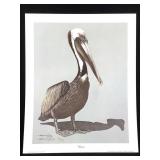 Harold Rigsby Pelican Ltd Ed Signed Repro 16 x 13