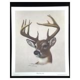 Harold Rigsby Deer Buck Lmt Ed Signed Reprod