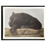Harold Rigsby Black Leopard Ltd Ed Signed Rep
