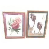 Framed Print & Framed Chinese Leaf Diorama