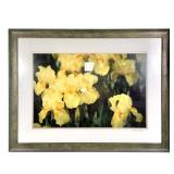 Signed Yellow Iris Lg Photograph Framed