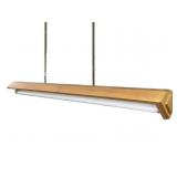 William Itter Shop Made Hanging Studio Light