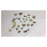 Fossils Petrified Wood Talon Arrowheads