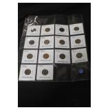 Lot of 14 Indian Head Cents