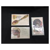 Vintage Thanksgiving Post Card Lot of 3