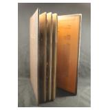 Indian Head Cent Collection in Dansco Album *15