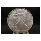 1996 Uncirculated 1oz .999 Silver American Eagle