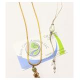 Lot of 2 Necklaces Frog Money 16" & Silvertone