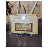22kt Gold Commemorative Bank Note