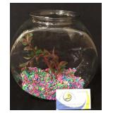 Goldfish bowl with rocks and plant