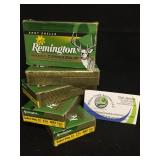 12 gauge Remington hollow point