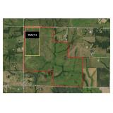 Tract 4 - 80 +/- Acres