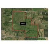 Tract 6 - 440 +/- Acres (Entire Farm)