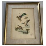 Pair of Boris Riab Signed Pheasant & Mallard Print Pair of Boris Riab Signed Pheasant & Mallard Print