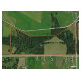 TRACT 8 * 51.85 ACRES * GRASS & TIMBER