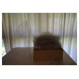 PLASTIC DOLL DUST COVERS