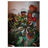 PLANTS, POTS, SHELVES, STANDS