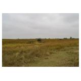 Farm 1 - 240 +/- Acres Cropland and Native Grass